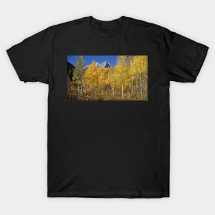 Golden Fall T-Shirt